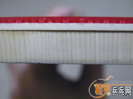 ��һֻ����10.0+Ѫ��430 2.0�׽�