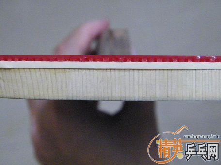 ��һֻ����10.0+Ѫ��430 2.0�׽�