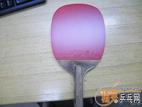 ��һֻ����10.0+Ѫ��430 2.0�׽�