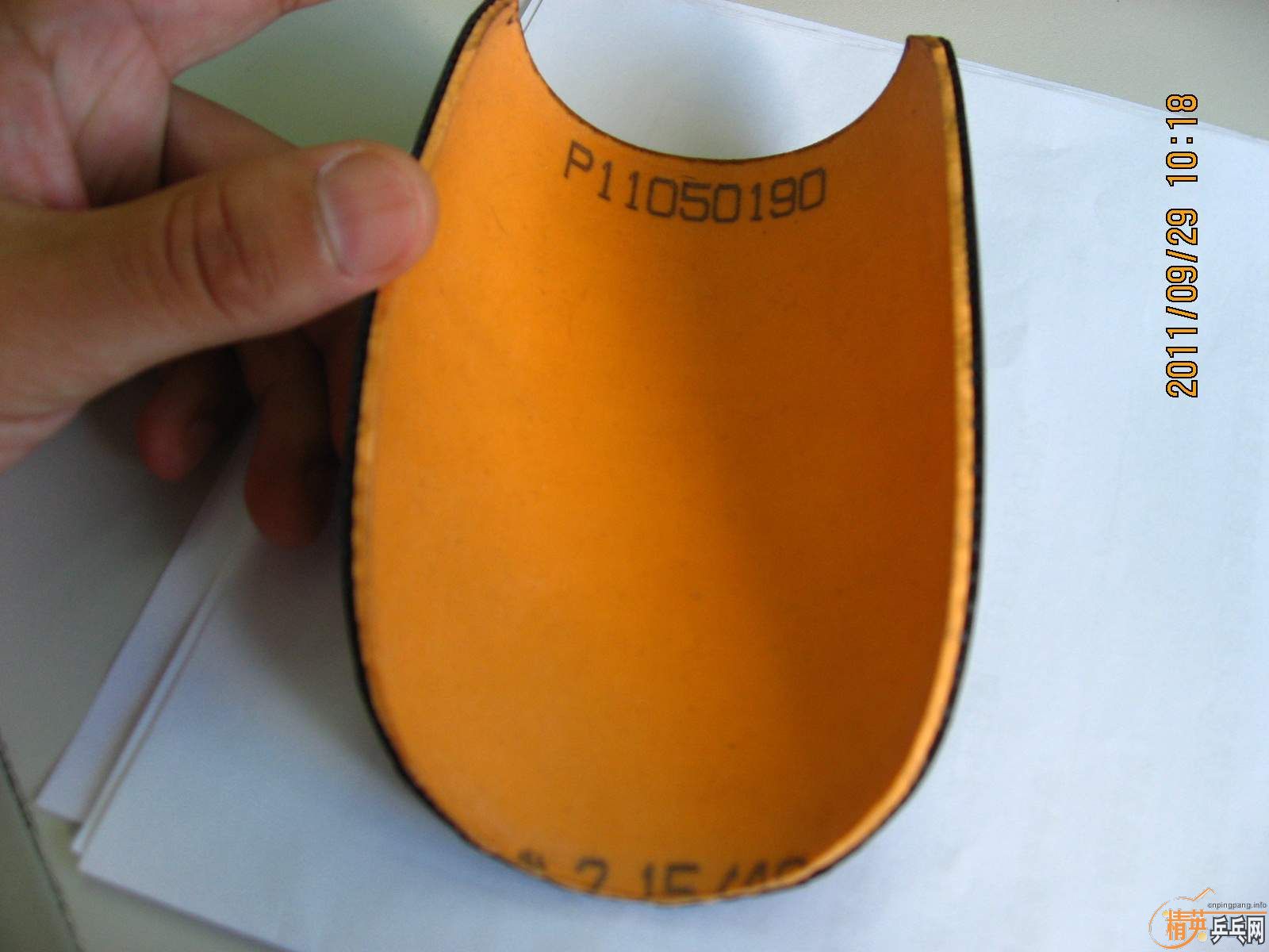 ʡùİæ