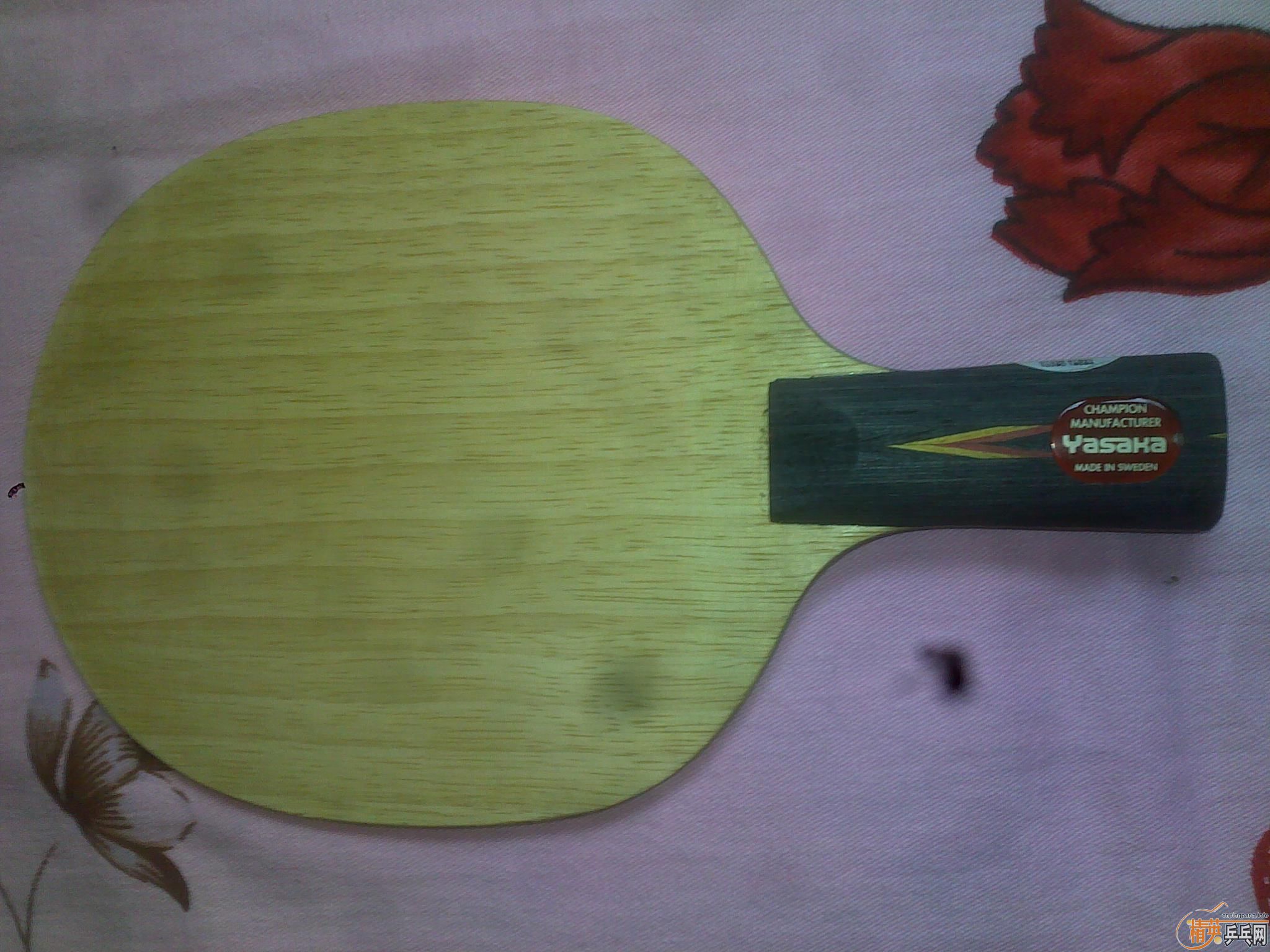 ֱ��������QQ799914079��17��360��YO,260