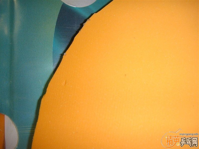 �ó�ɫ��ɫֱ������Neoʡ�񻻻��