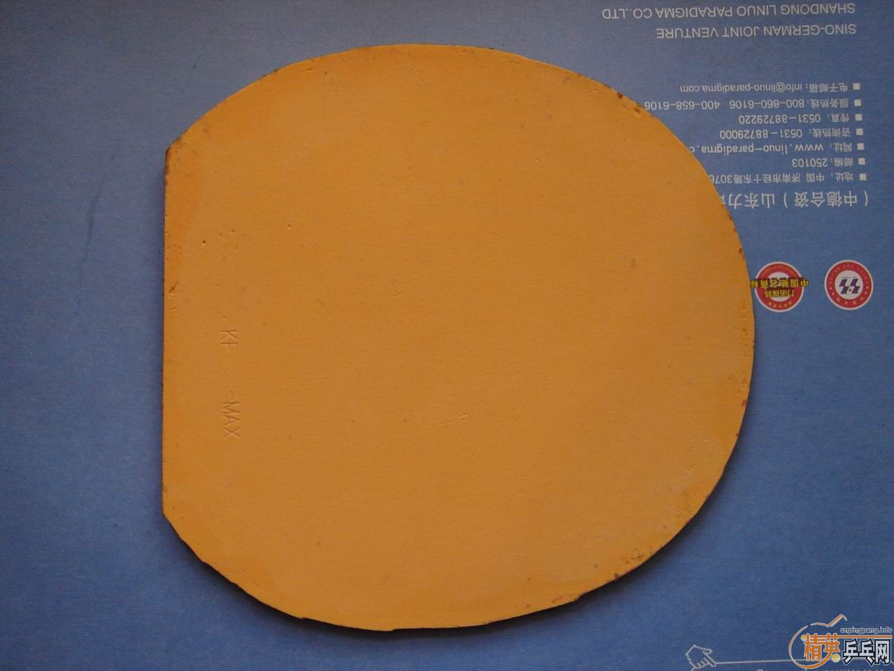 ֧�������� ��ɫEL      ��ֻ��������