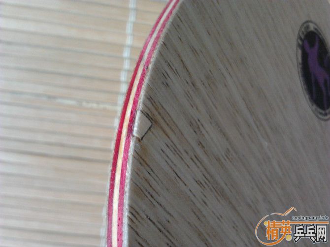 һ֧��7����