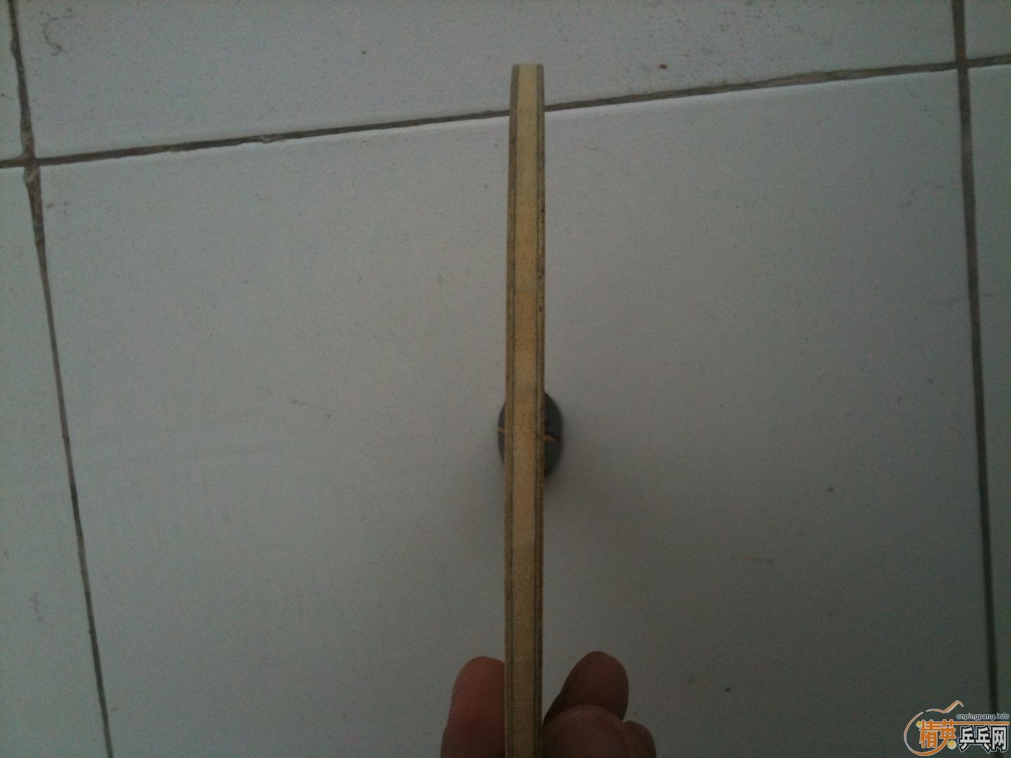 �����������̼yca������410Ԫ��