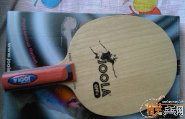 �����ǵ��,�����Ʒ������������-ROSSI POWER(ST)