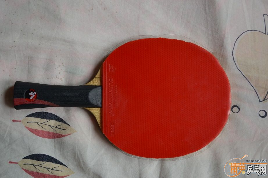 DHS��WN ��ȫ�׽�Ƥ��������