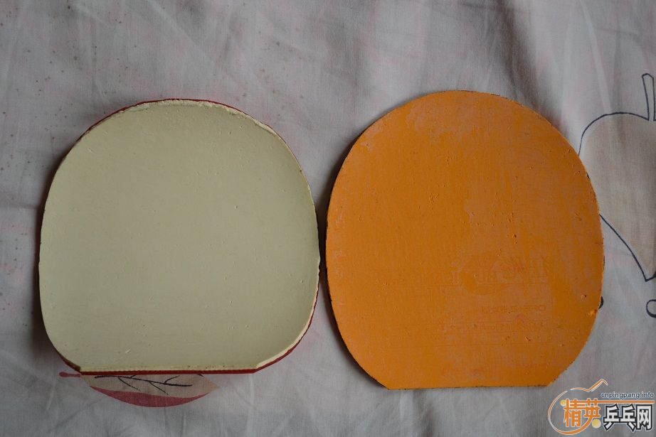 DHS��WN ��ȫ�׽�Ƥ��������