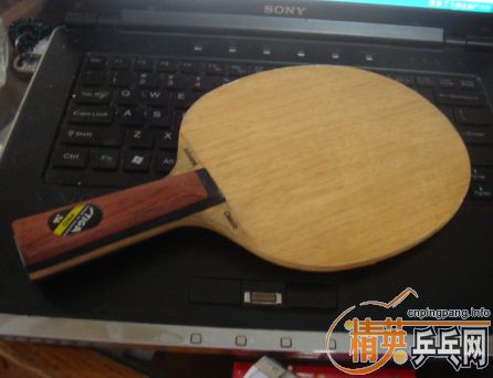 ���ѳ��������ɣ������˰������հ澭����� stiga ac ��87g��