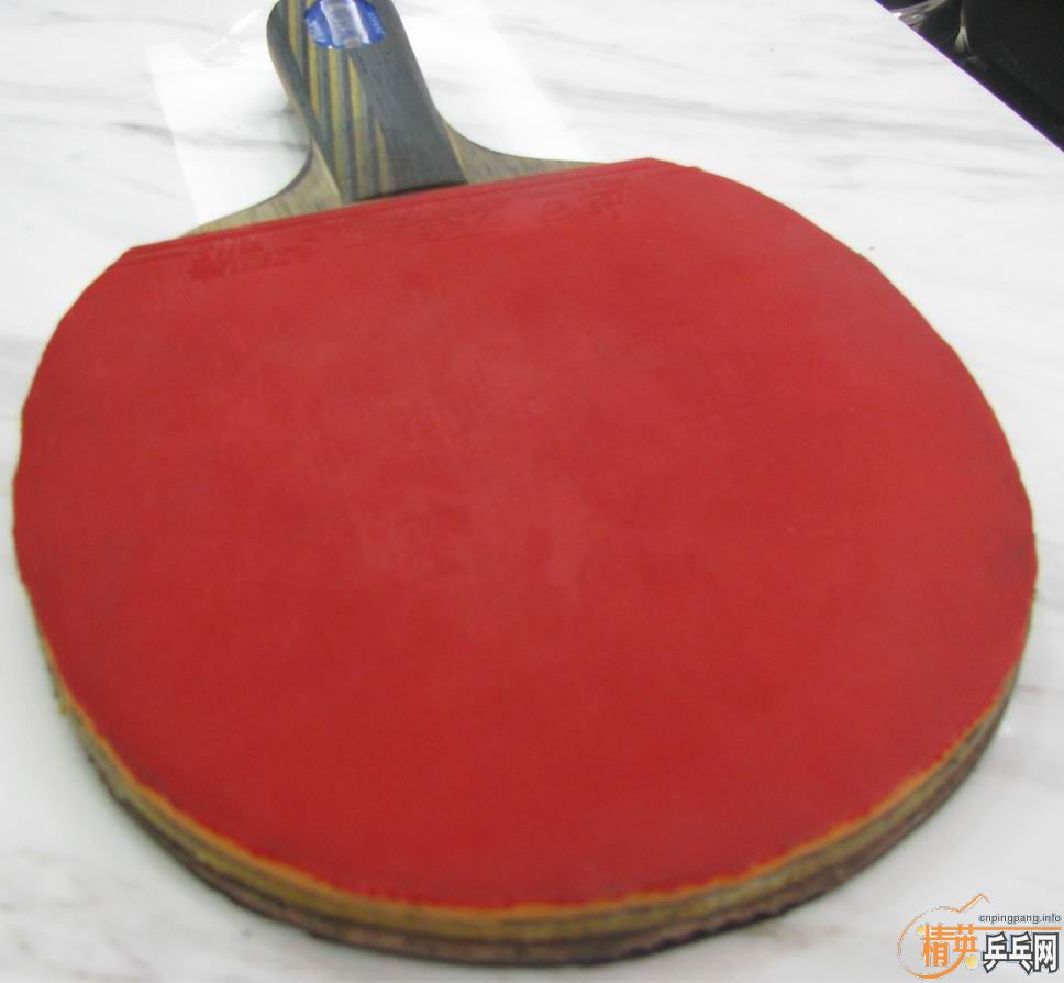 �ͼ� ת STIGA EG WGB ֱ�� һֻ[��ת��]-->wzq2003188ת��