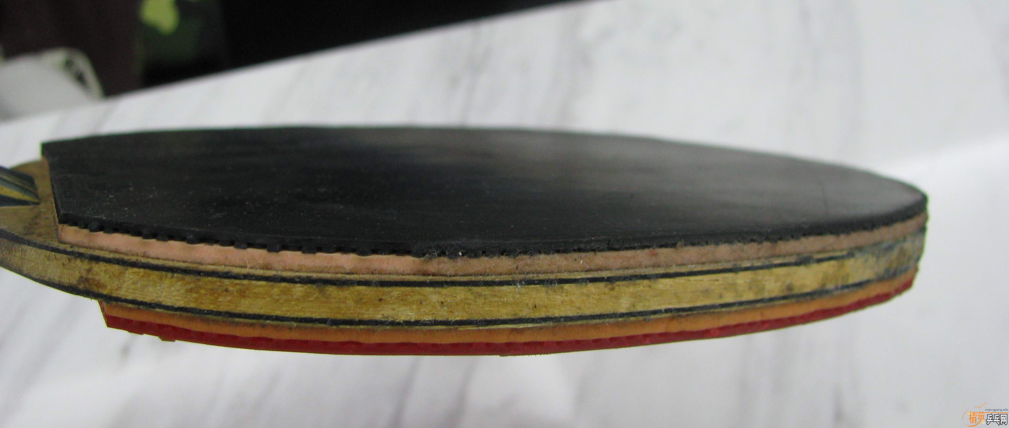 �ͼ� ת STIGA EG WGB ֱ�� һֻ[��ת��]-->wzq2003188ת��