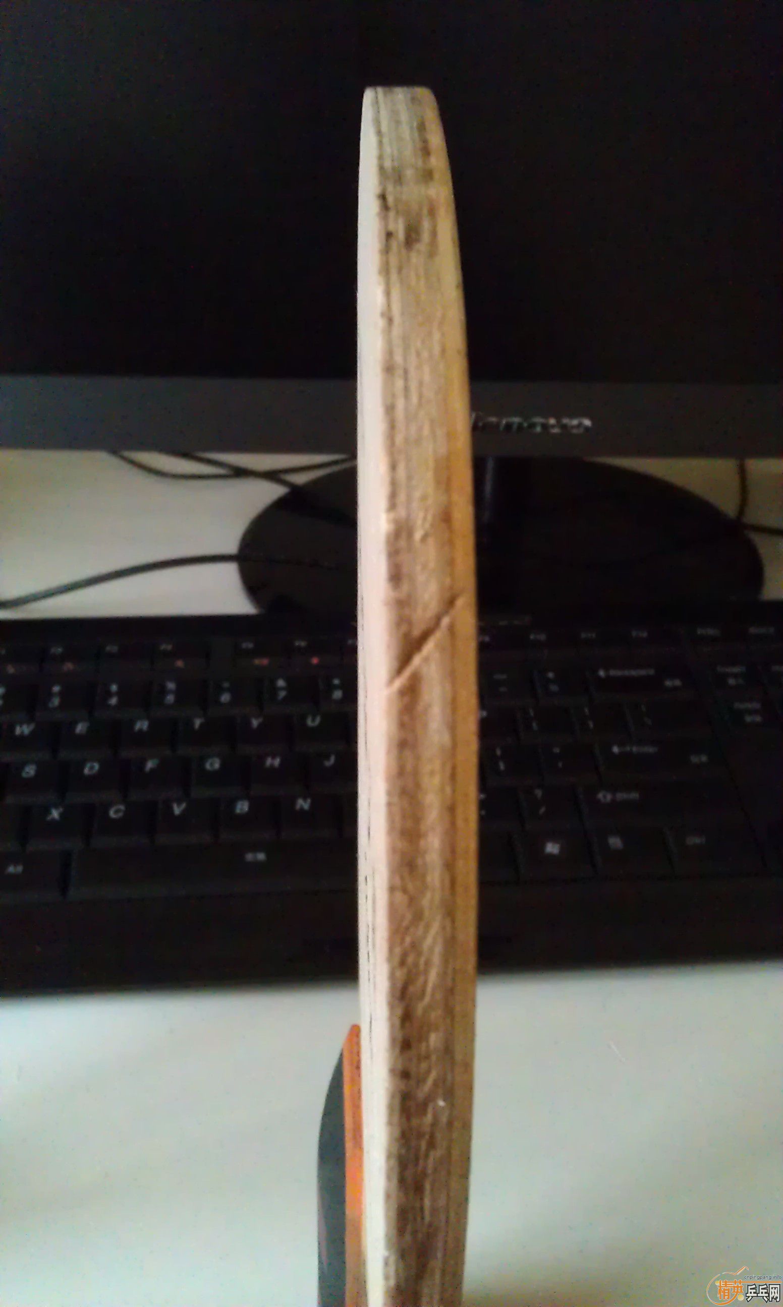 ~~~~�����ѳ��壬�ʺϳ���~~����Χ�ۣ�