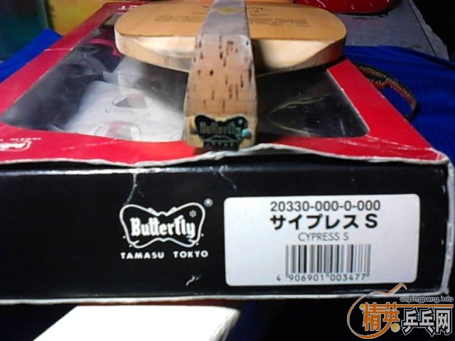 ����20330 cypress һö 700