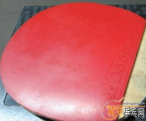 ���׺�����̼����YEO����