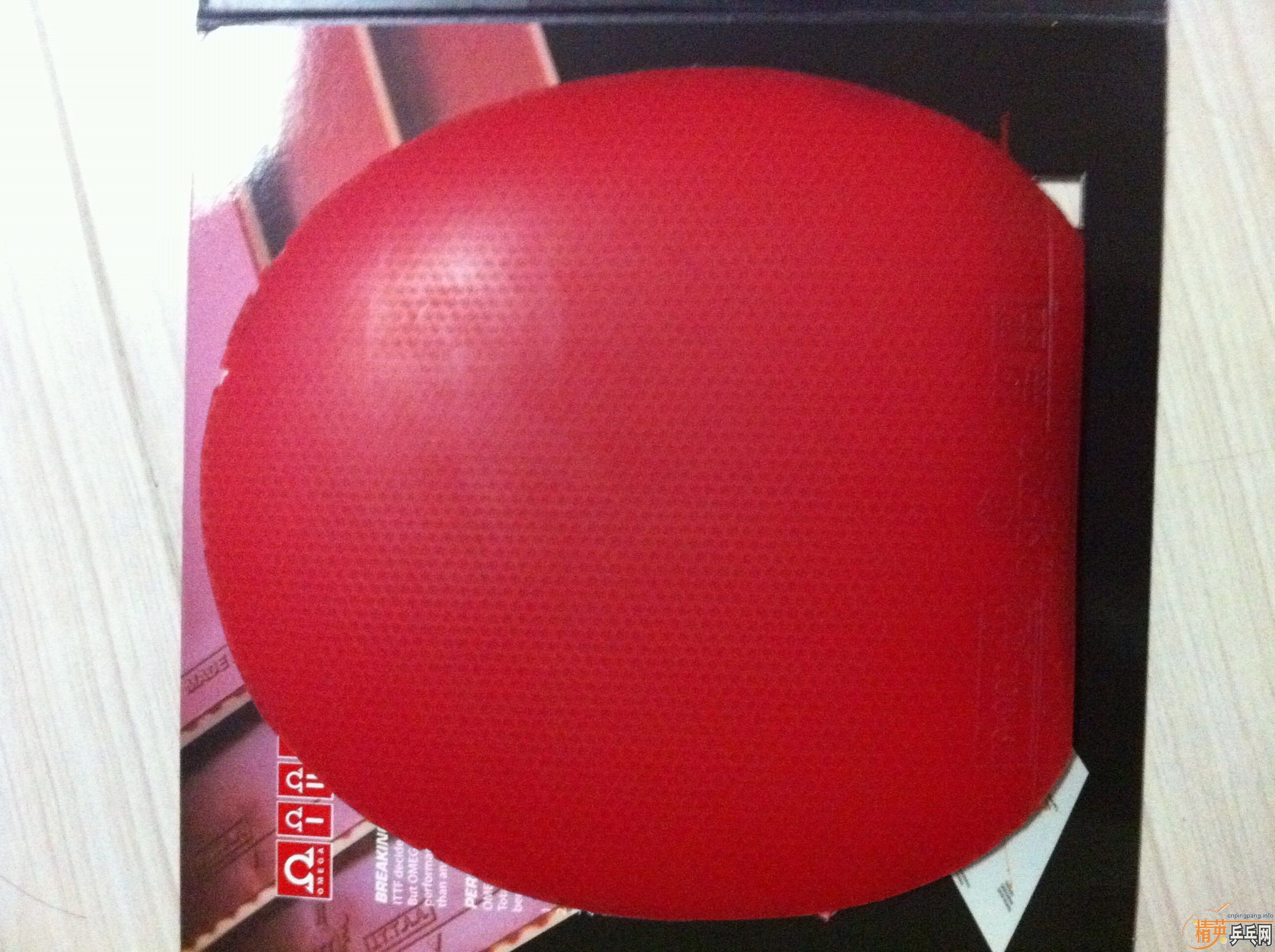 ���ѩ��CL�Ӵ�Z����������������������������������������