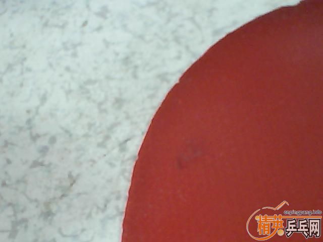 ��С����flextra��˹�ٿ�����һŵ��