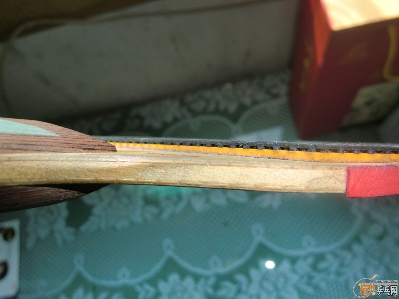 ���ֺ���þ�Ӣ��