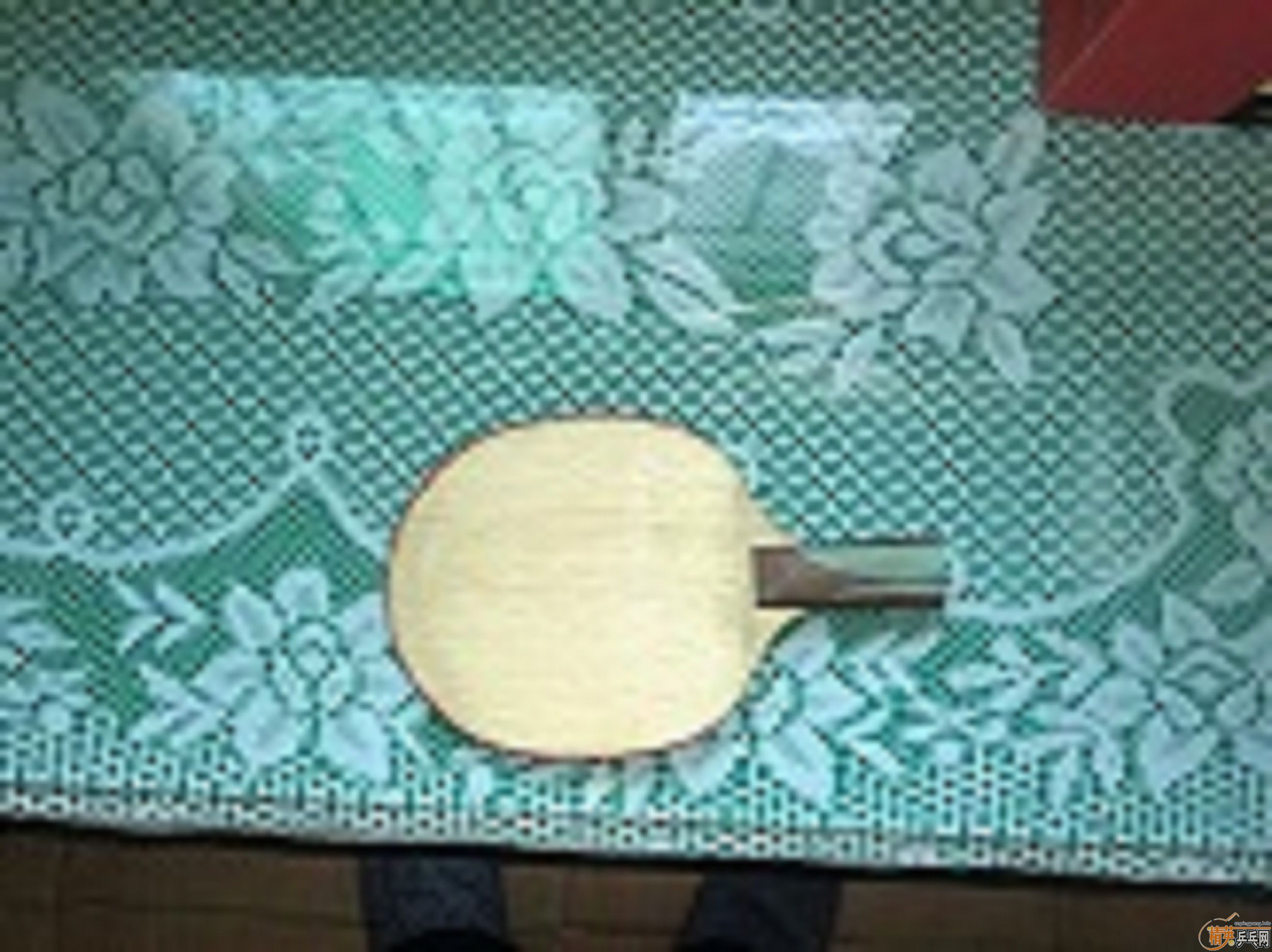 ���ֺ���þ�Ӣ��