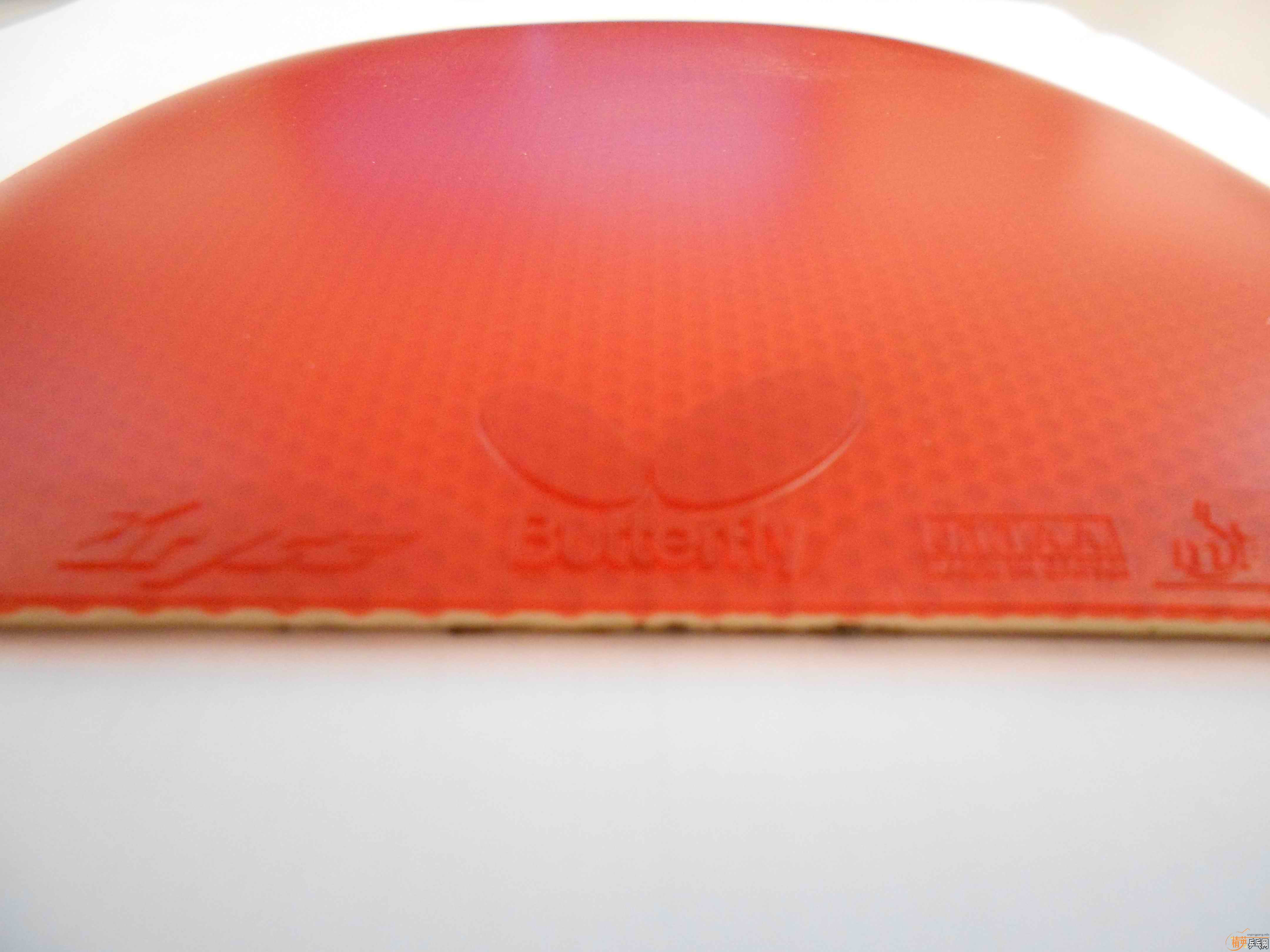 ��׳���-----------------�Ŷ�������-->qupiterת��