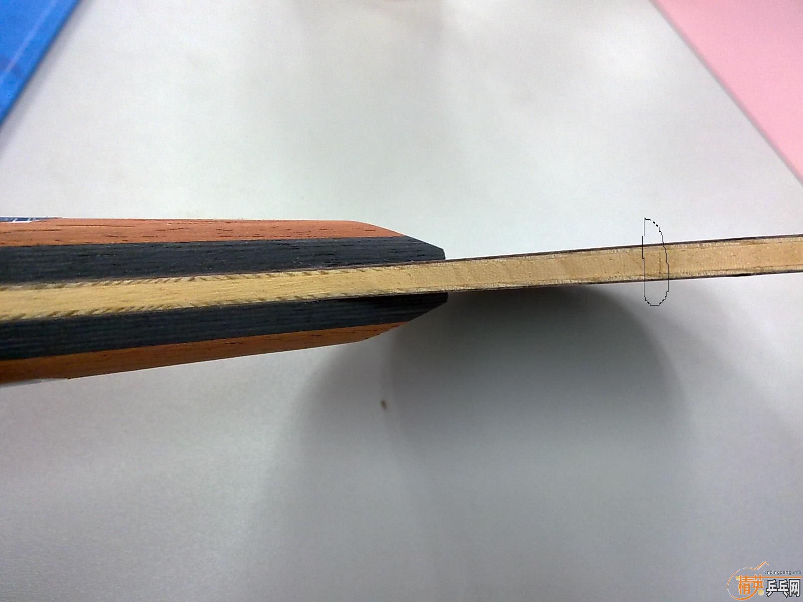 [����]�����ֽ��������°����ҵĵ�һ��ʡ���OC-CR-WRB