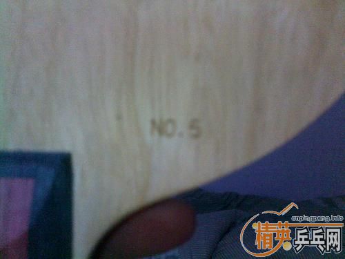 []ѴձĸӡNO.5άǻɫġ