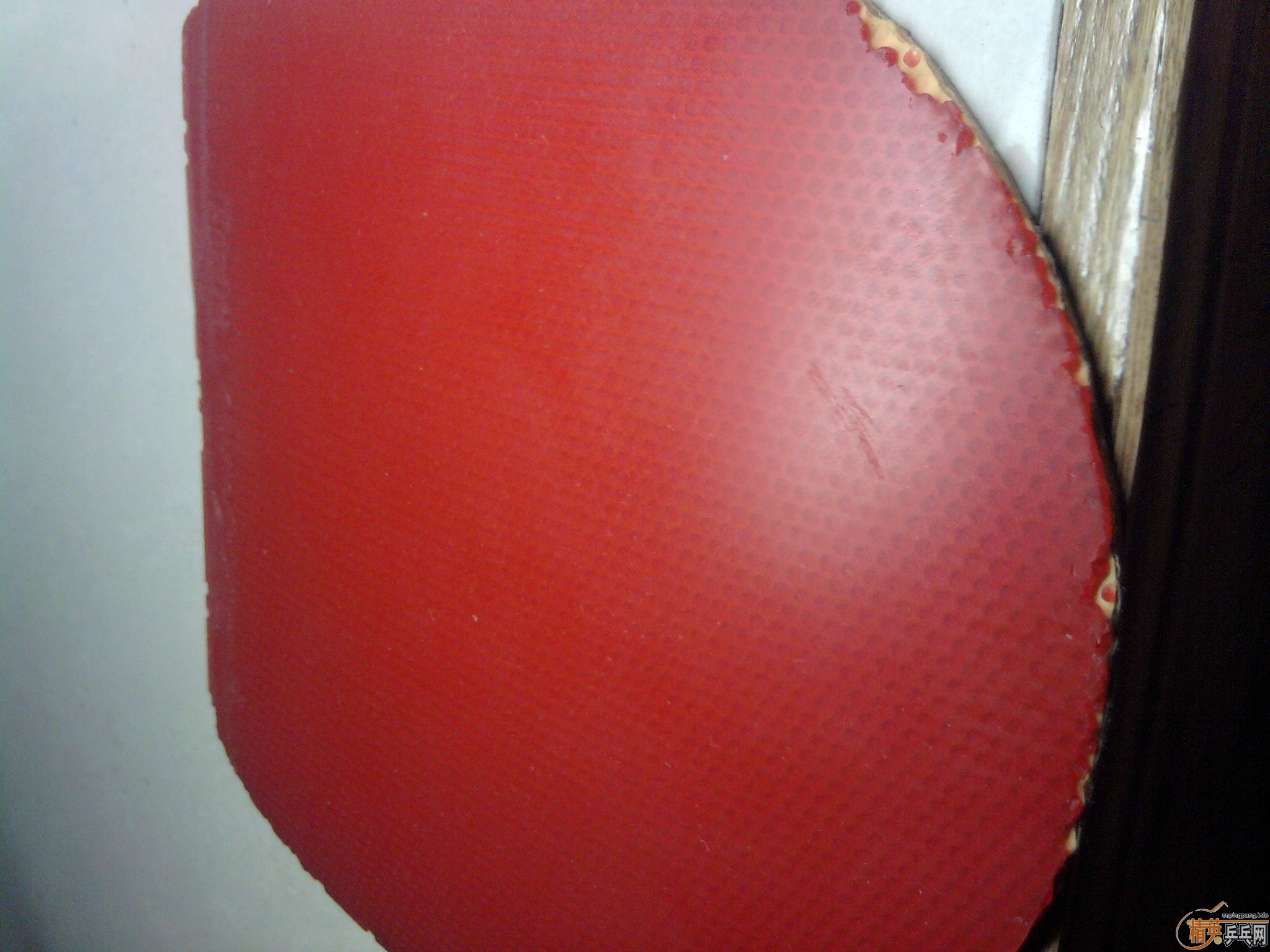 ���Ƴ�Ⱥ����FLEXTRAһ�飬ֱ�İ���