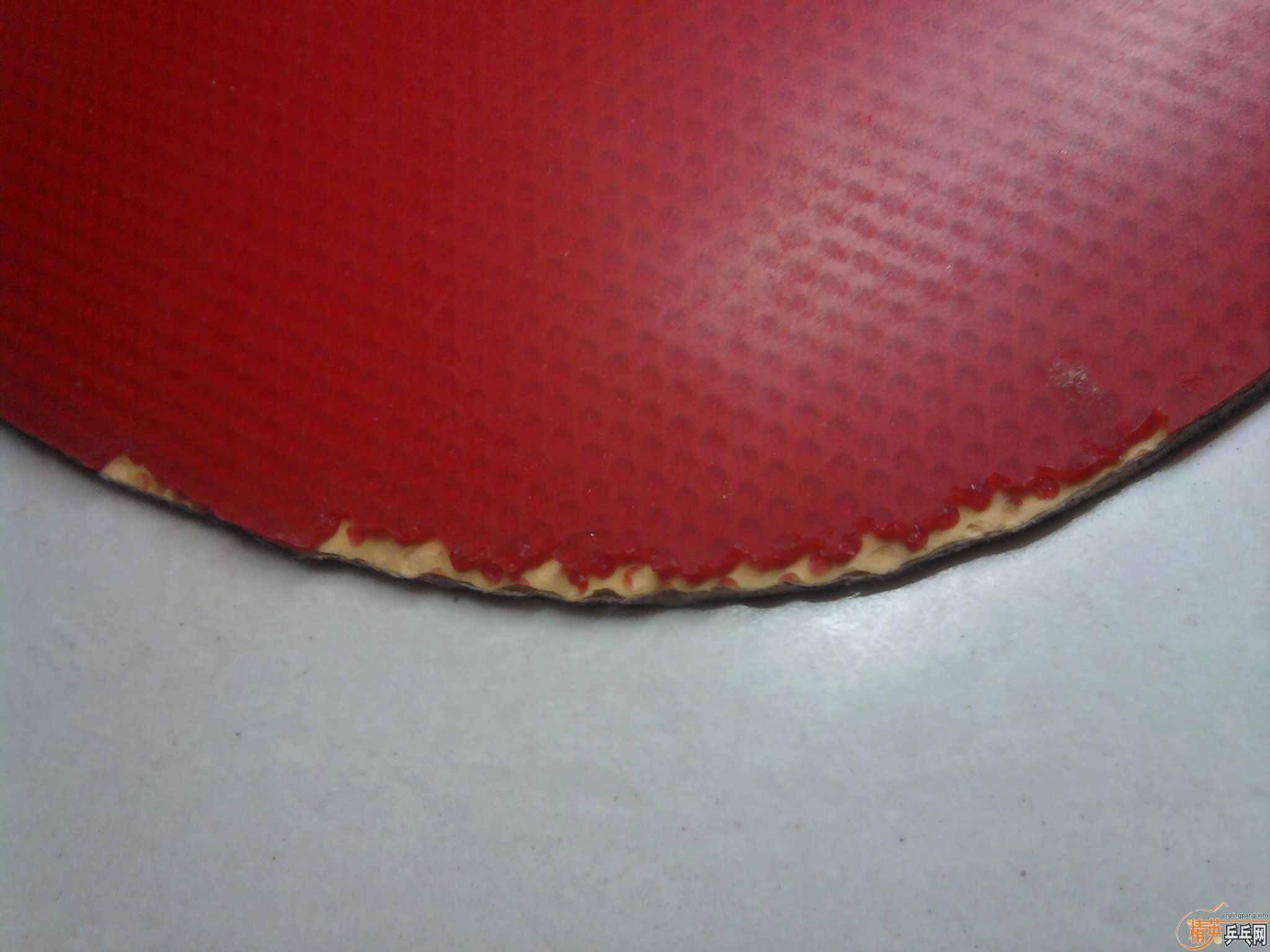 ���Ƴ�Ⱥ����FLEXTRAһ�飬ֱ�İ���