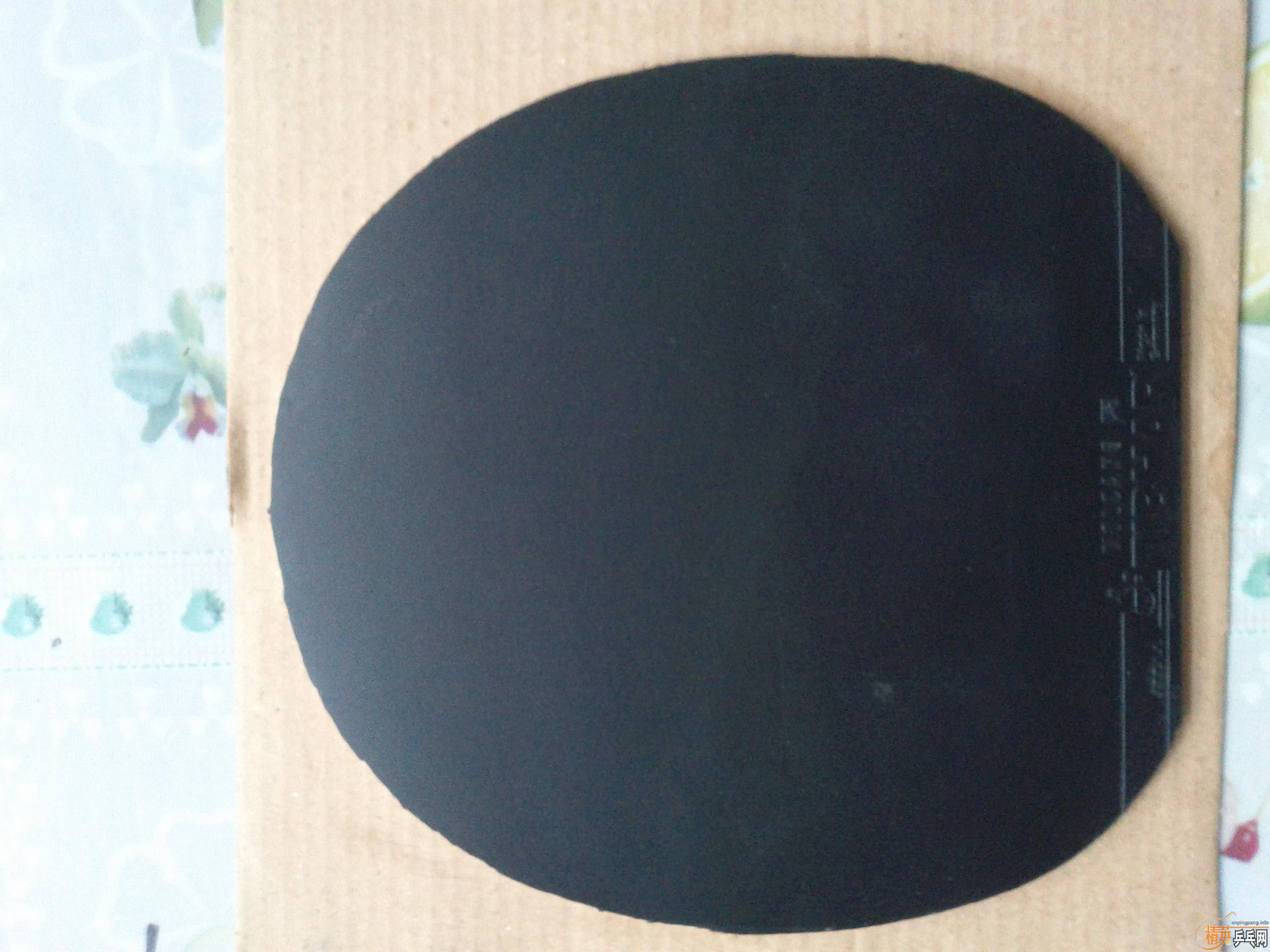 ����Ȱ�������۳���