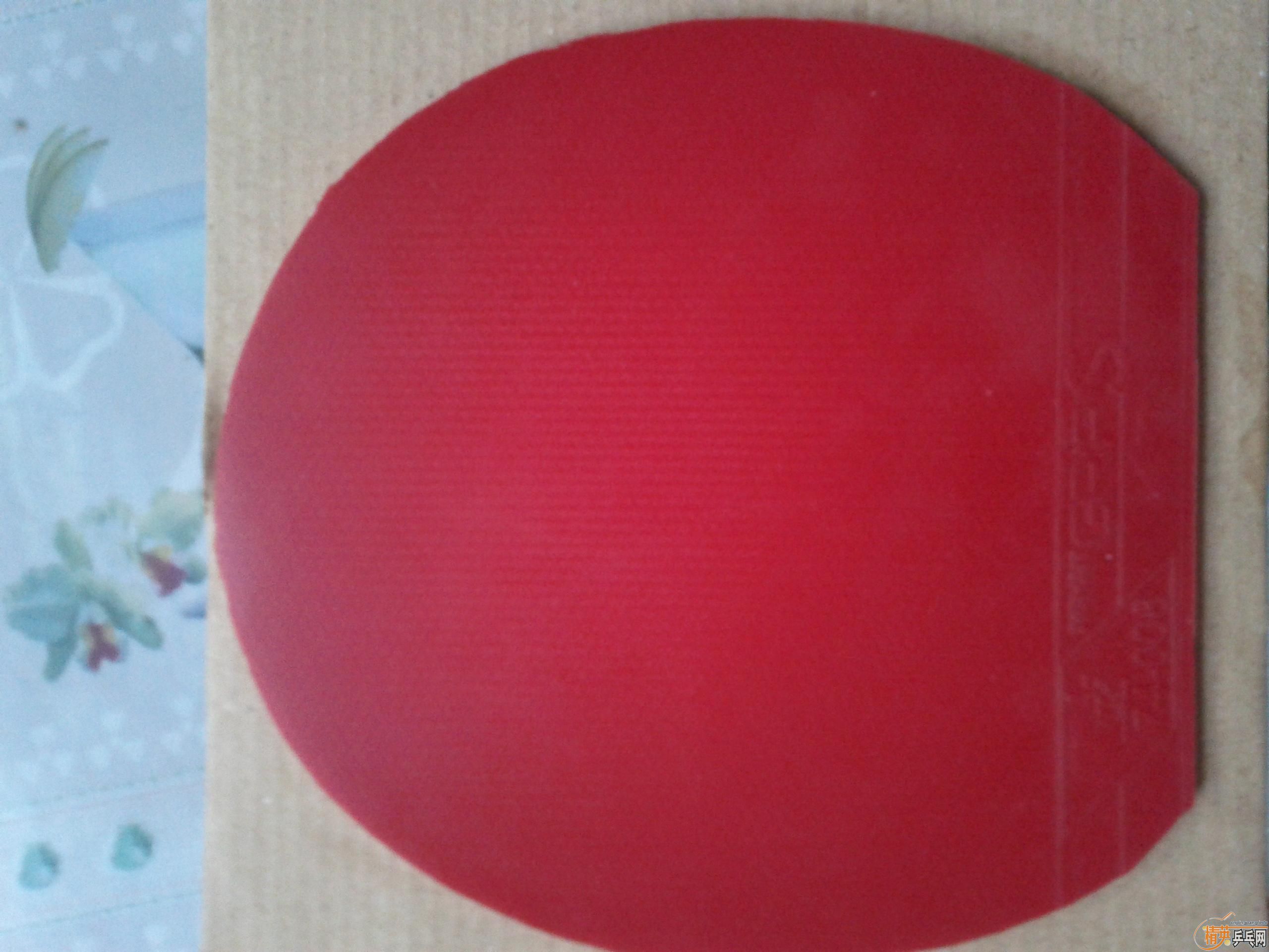 ����Ȱ�������۳���