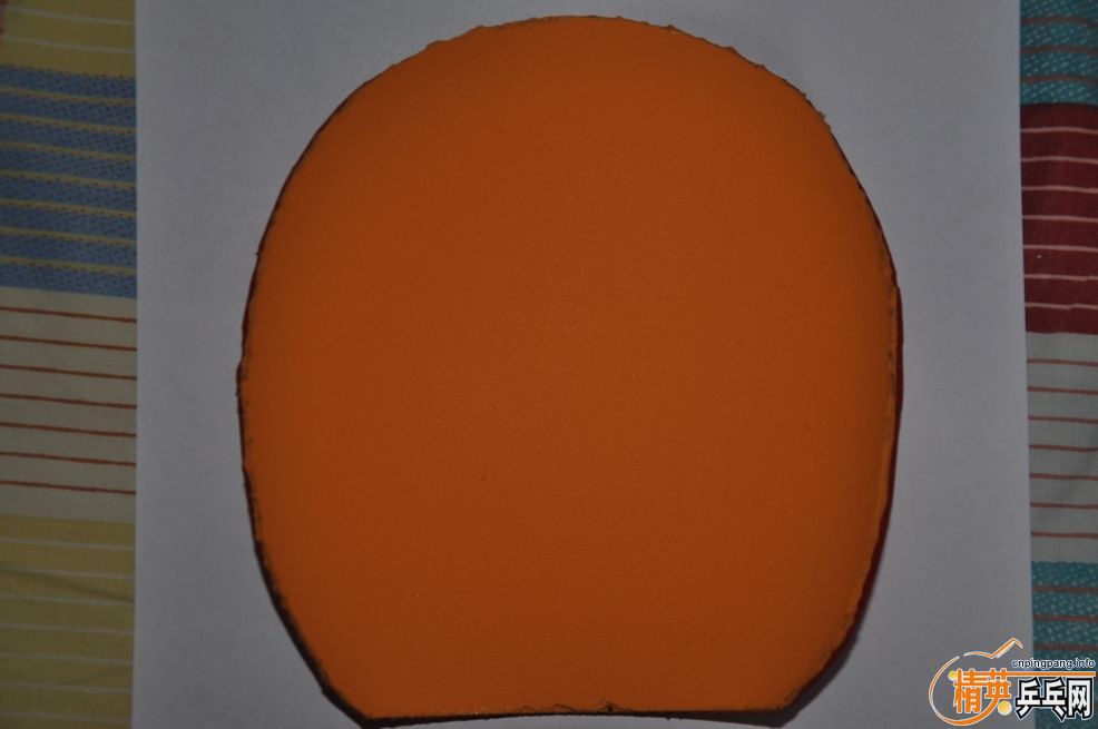 �������S2