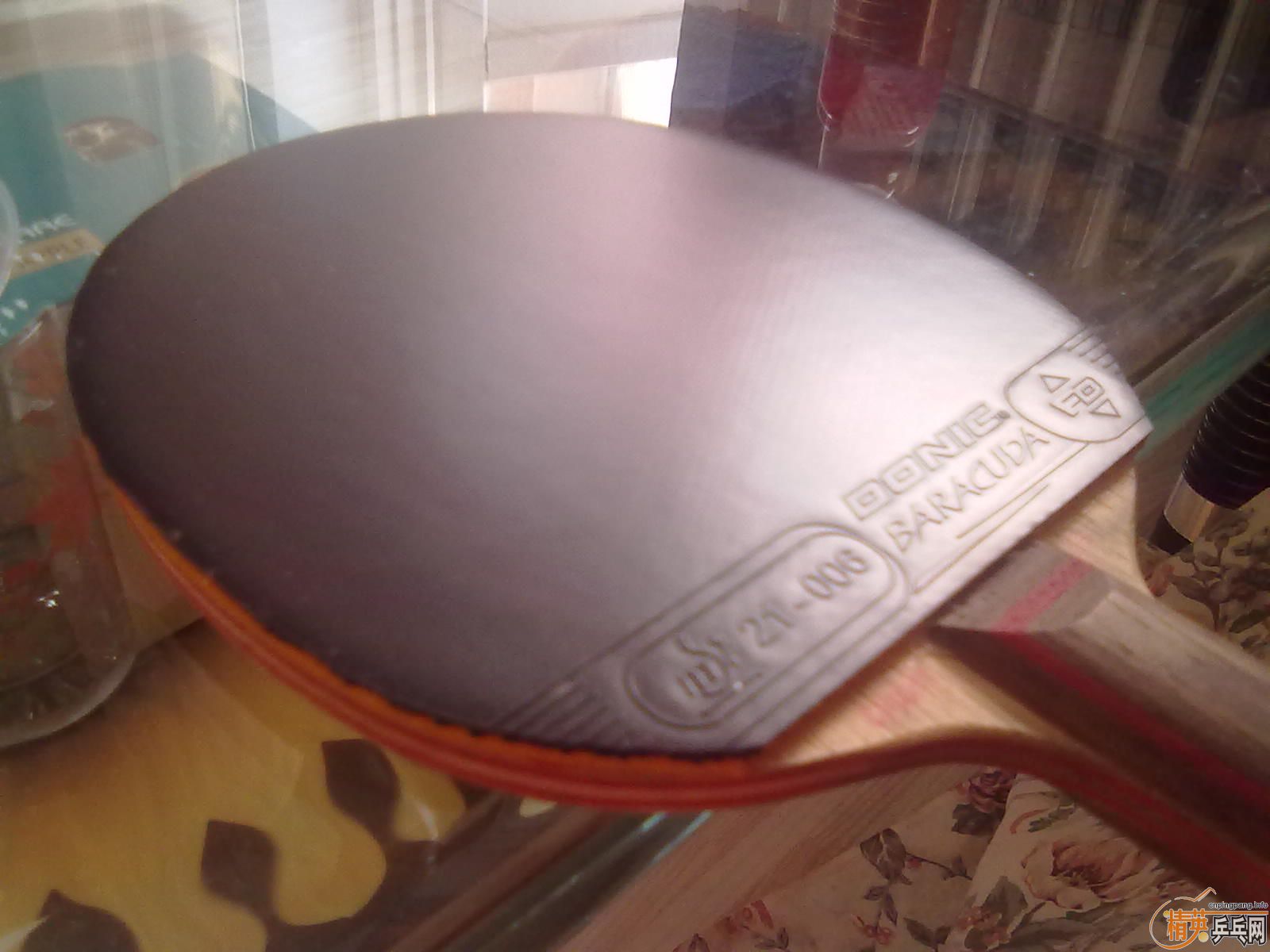 ��9.8���׽�ĺ�ɫbaracuda���ѳ���������һ��NEOʡ��-->qupiterת��