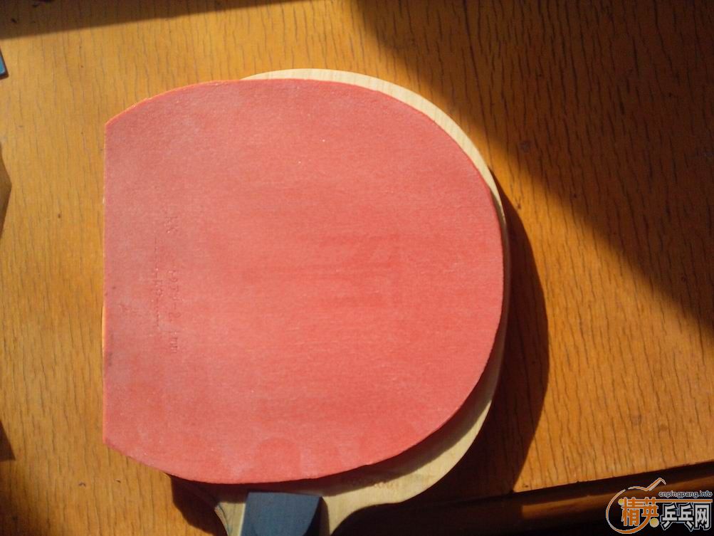 ��ֱ����  ��ɫT05