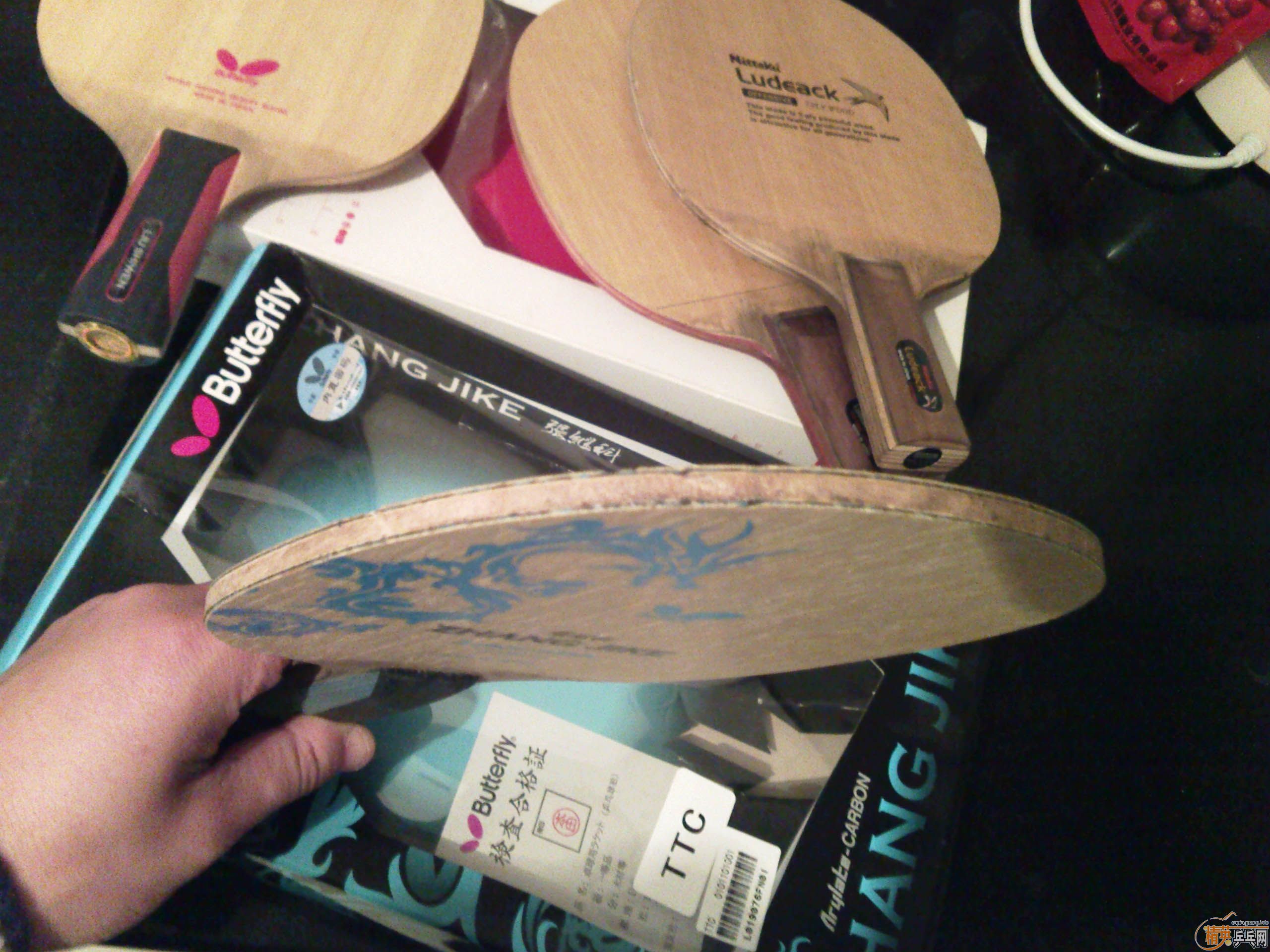 ������塣������ʫ���������ż̿ƣ�������С�������Ų�����