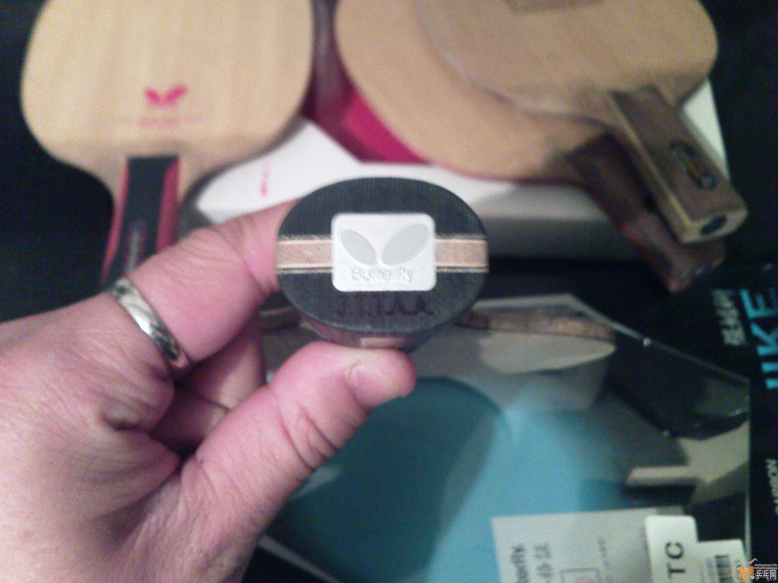 ������塣������ʫ���������ż̿ƣ�������С�������Ų�����