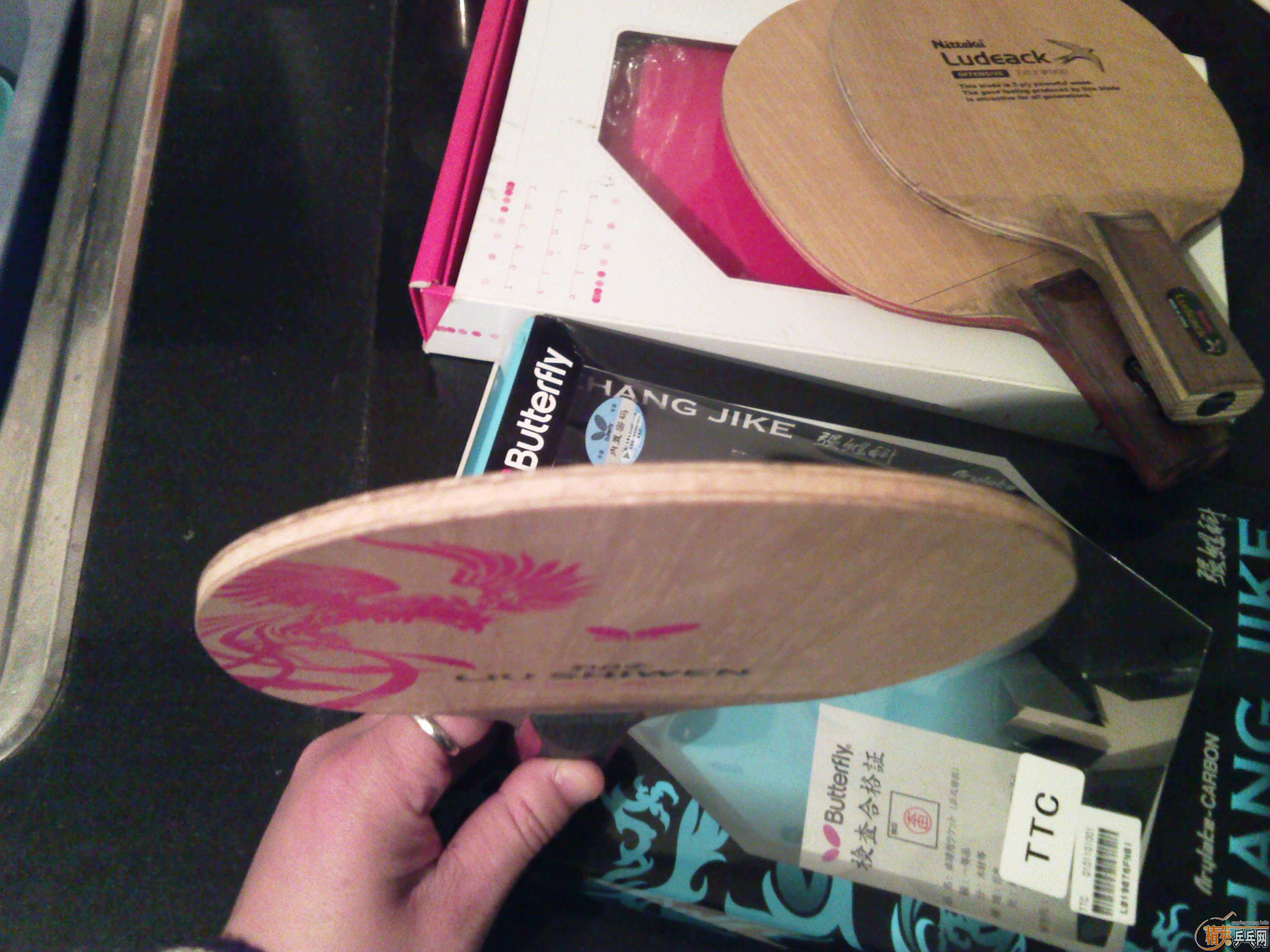 ������塣������ʫ���������ż̿ƣ�������С�������Ų�����