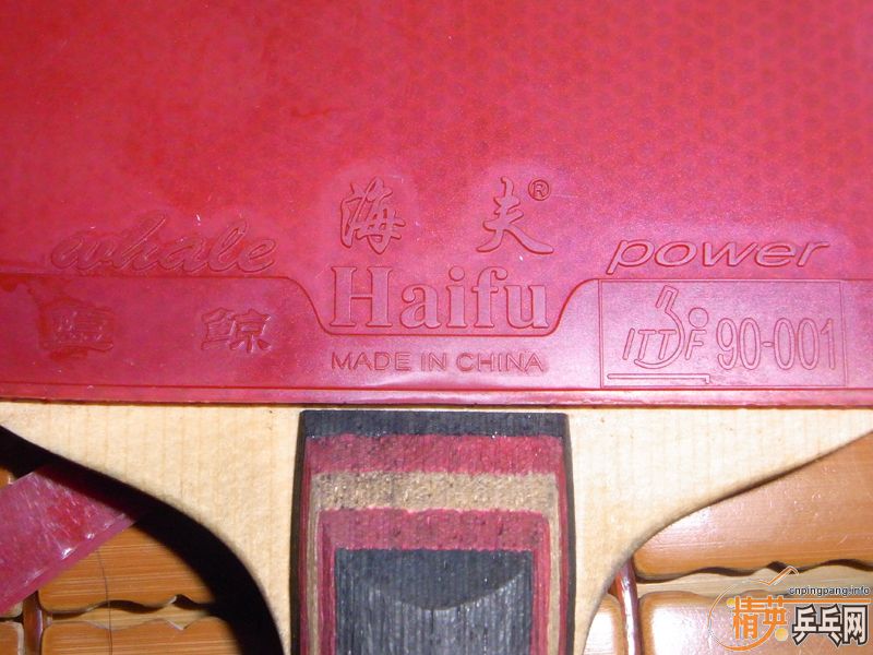 ¿׺棬9.5