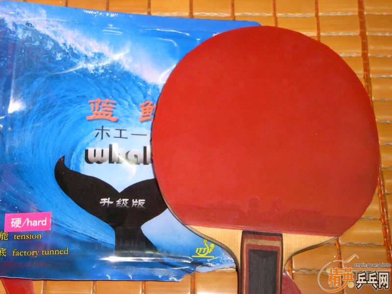 ¿׺棬9.5