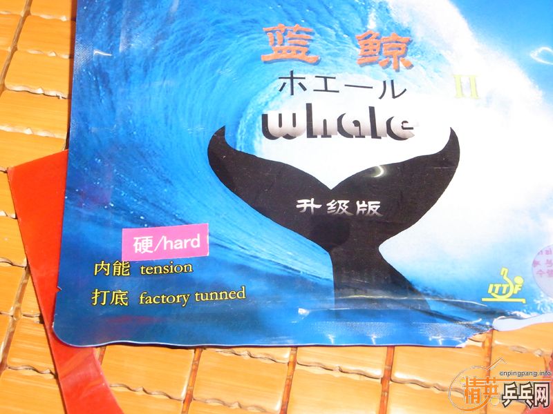 ¿׺棬9.5