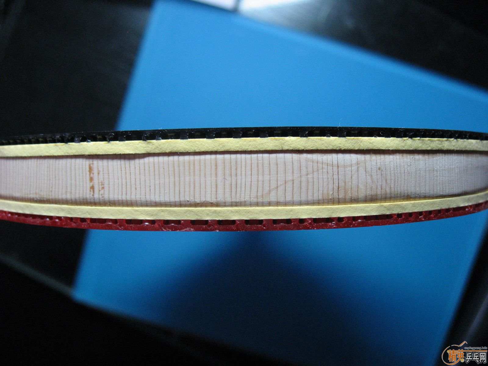 ���׽� CS 99g��һ������