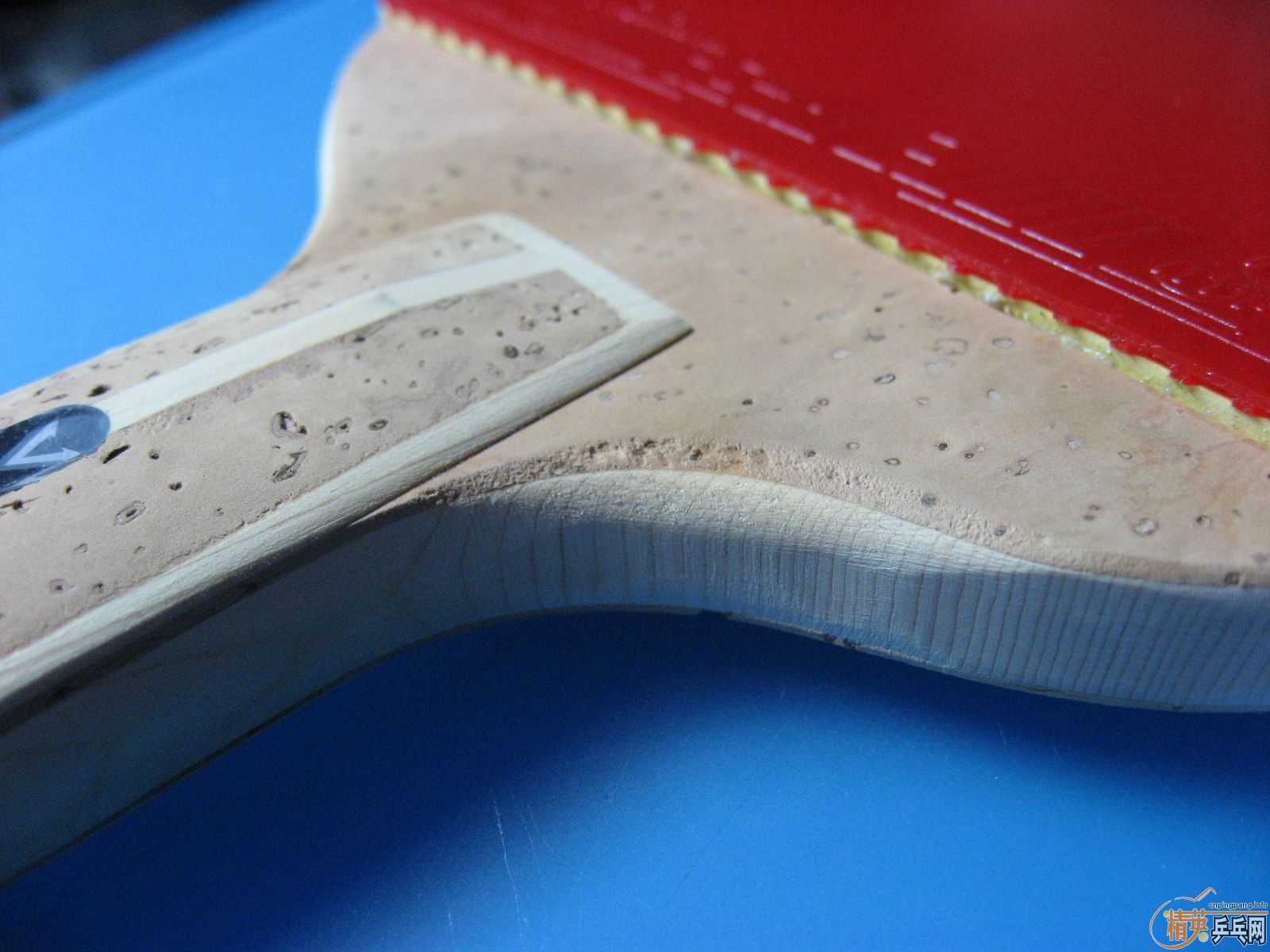 ���׽� CS 99g��һ������