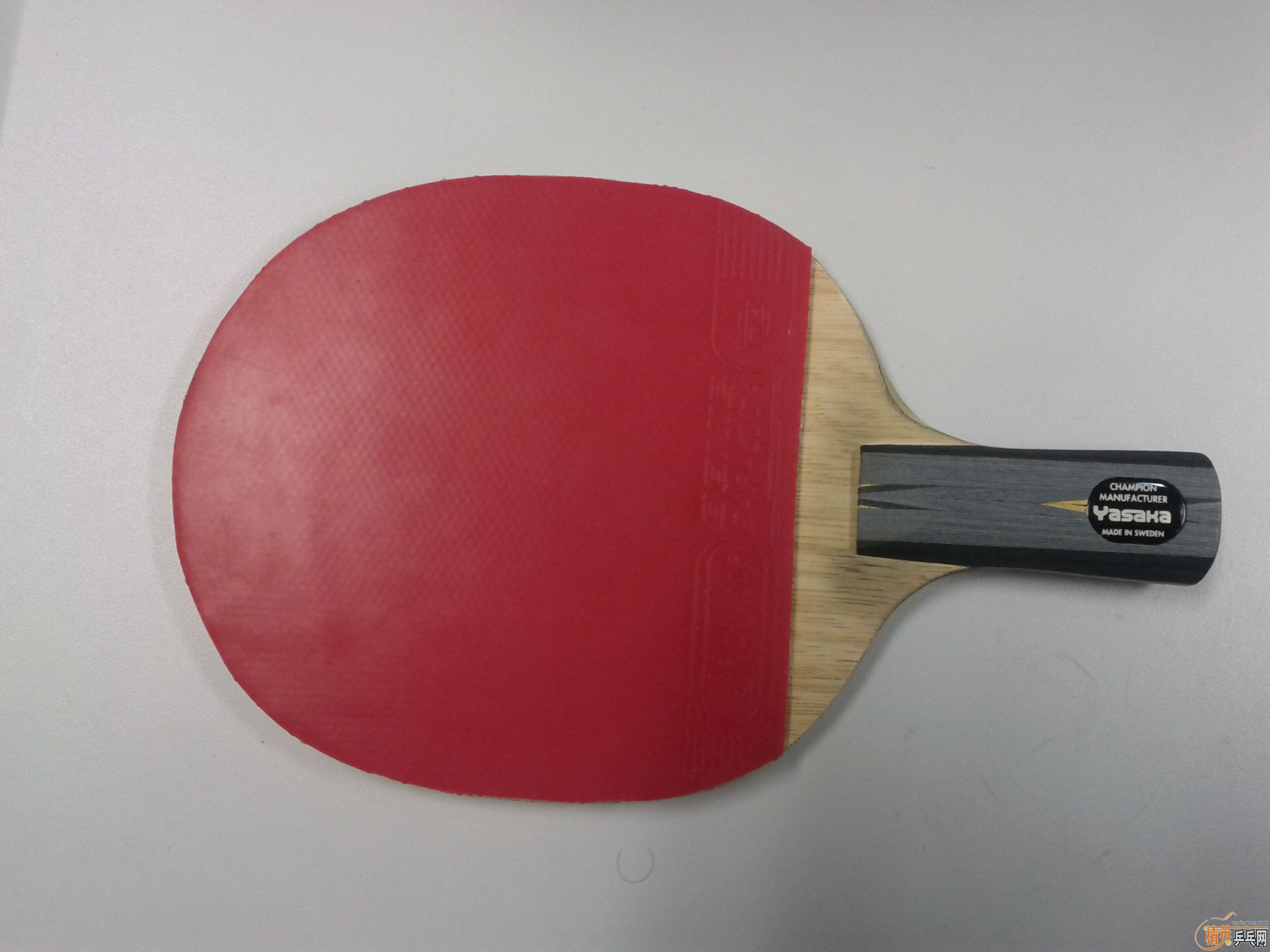 ��9.5��ŷ����������̼