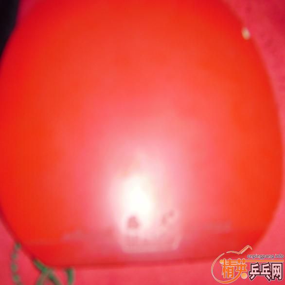 �������׺��� ˦��~~~~~~~~~~~~~~-->qupiterת��