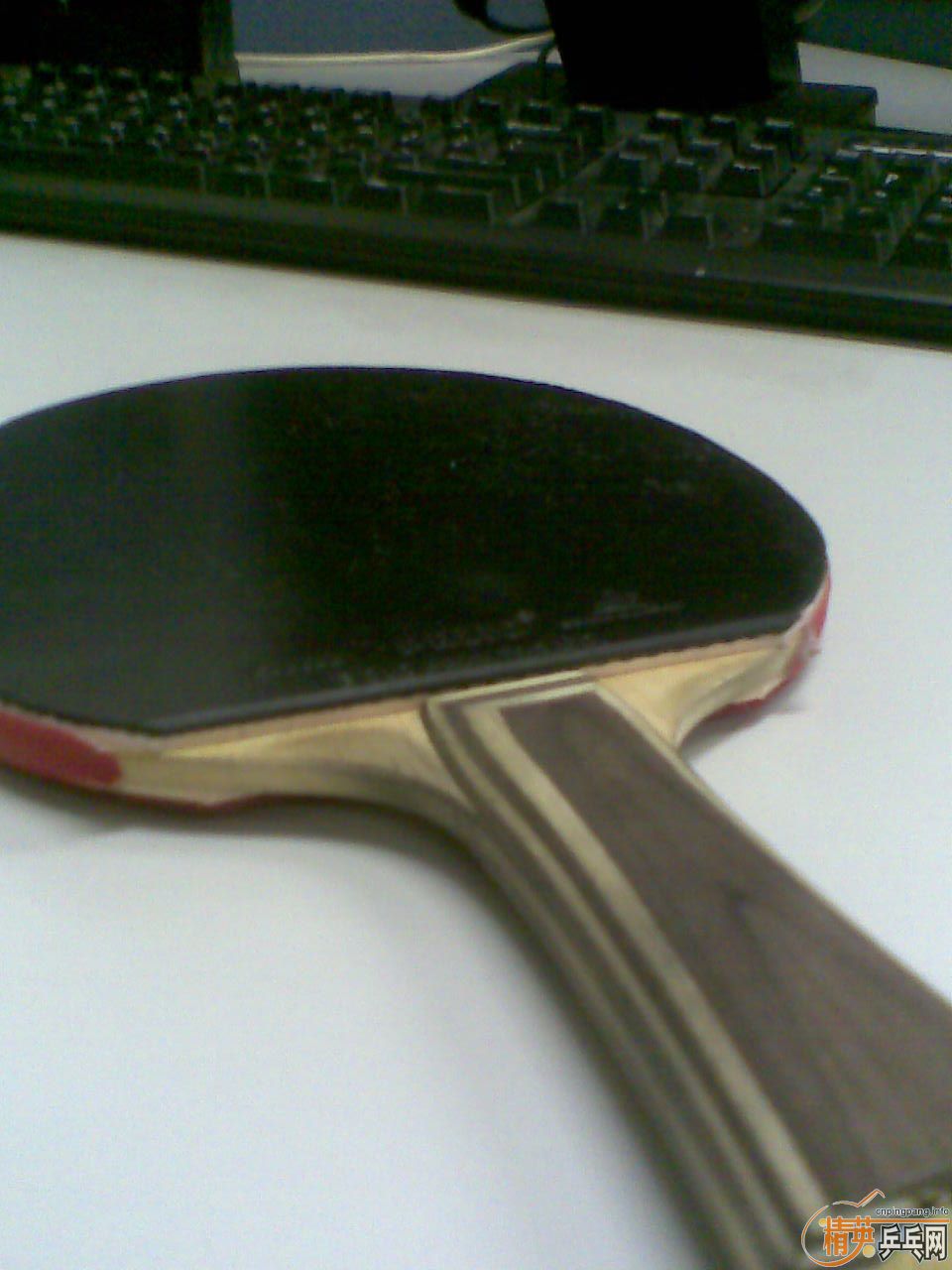 ��������(�����Ʊ����ͺ�˫ϲH-WL)�򽻻�