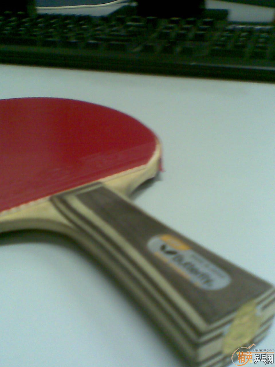 ��������(�����Ʊ����ͺ�˫ϲH-WL)�򽻻�