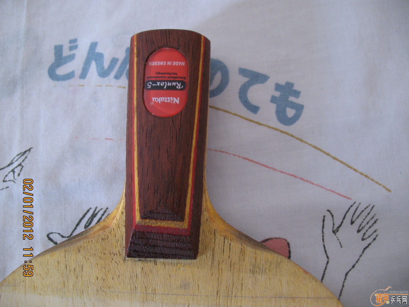 ֧������������R5