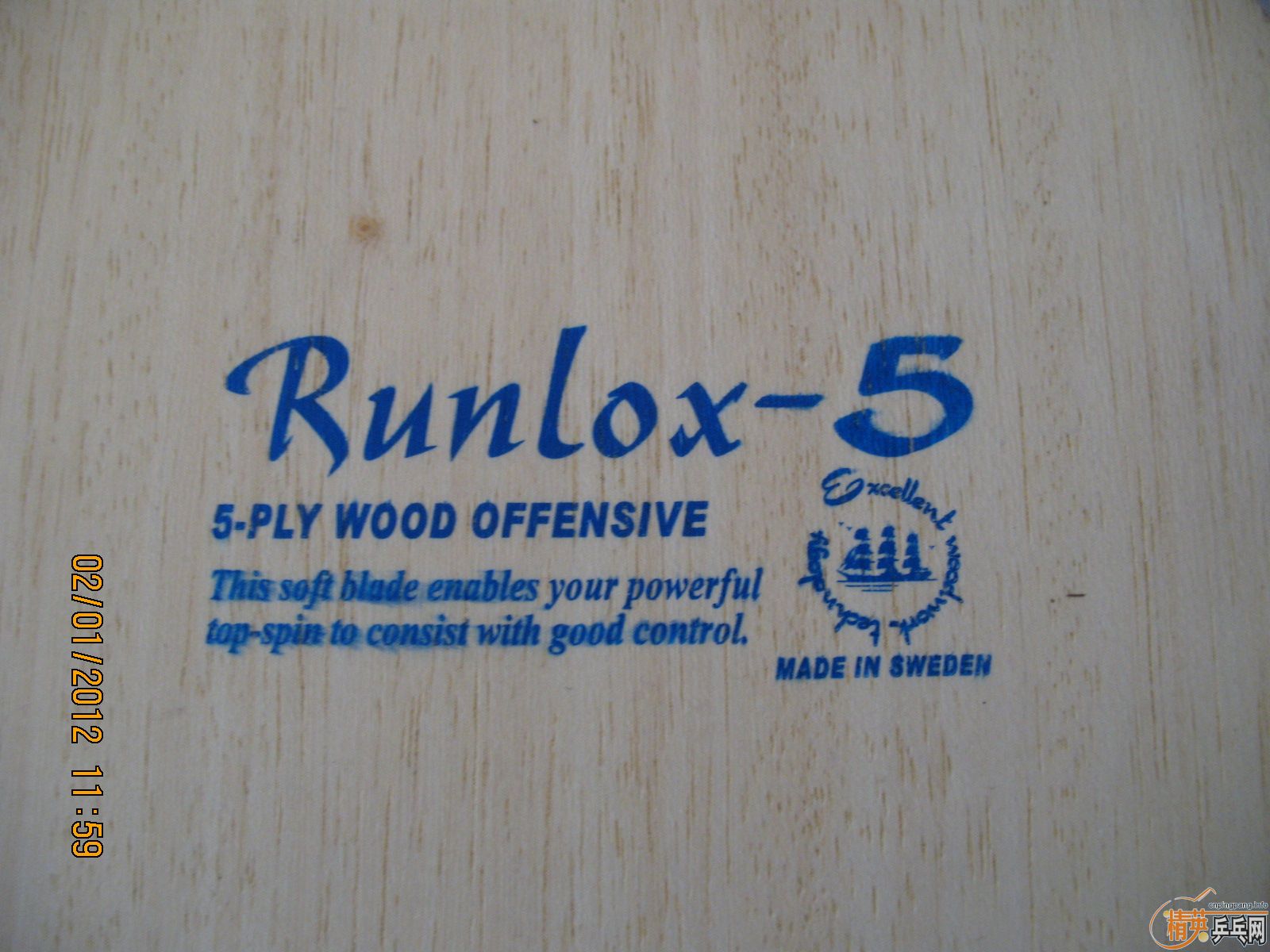 ֧������������R5