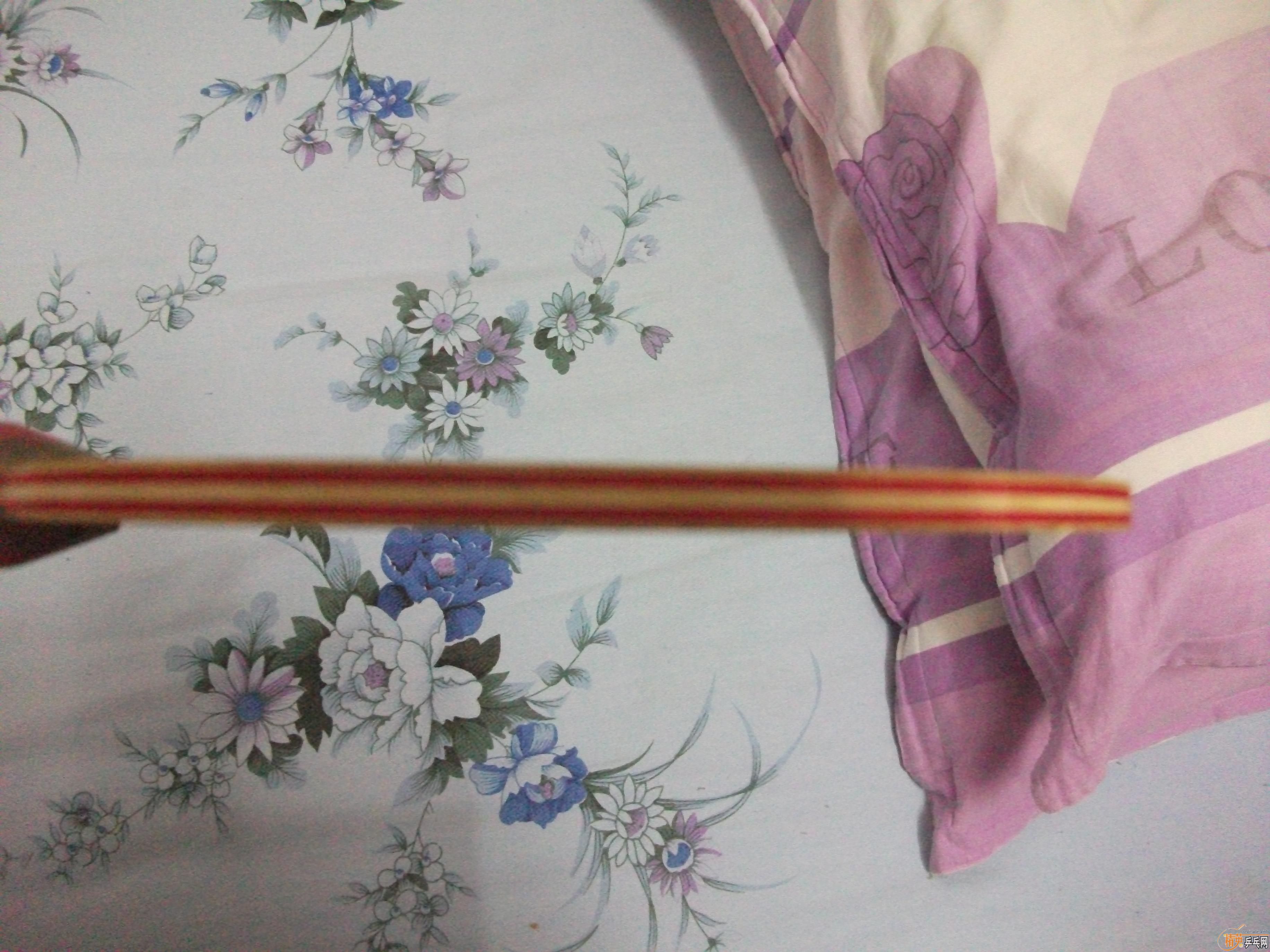 ��ɫȾɫ��ϸ����Ϊ���յ����⣬Ϊ��ȥ��¥��2λ�ֵܵ��ɻ�������������β��ͼ��