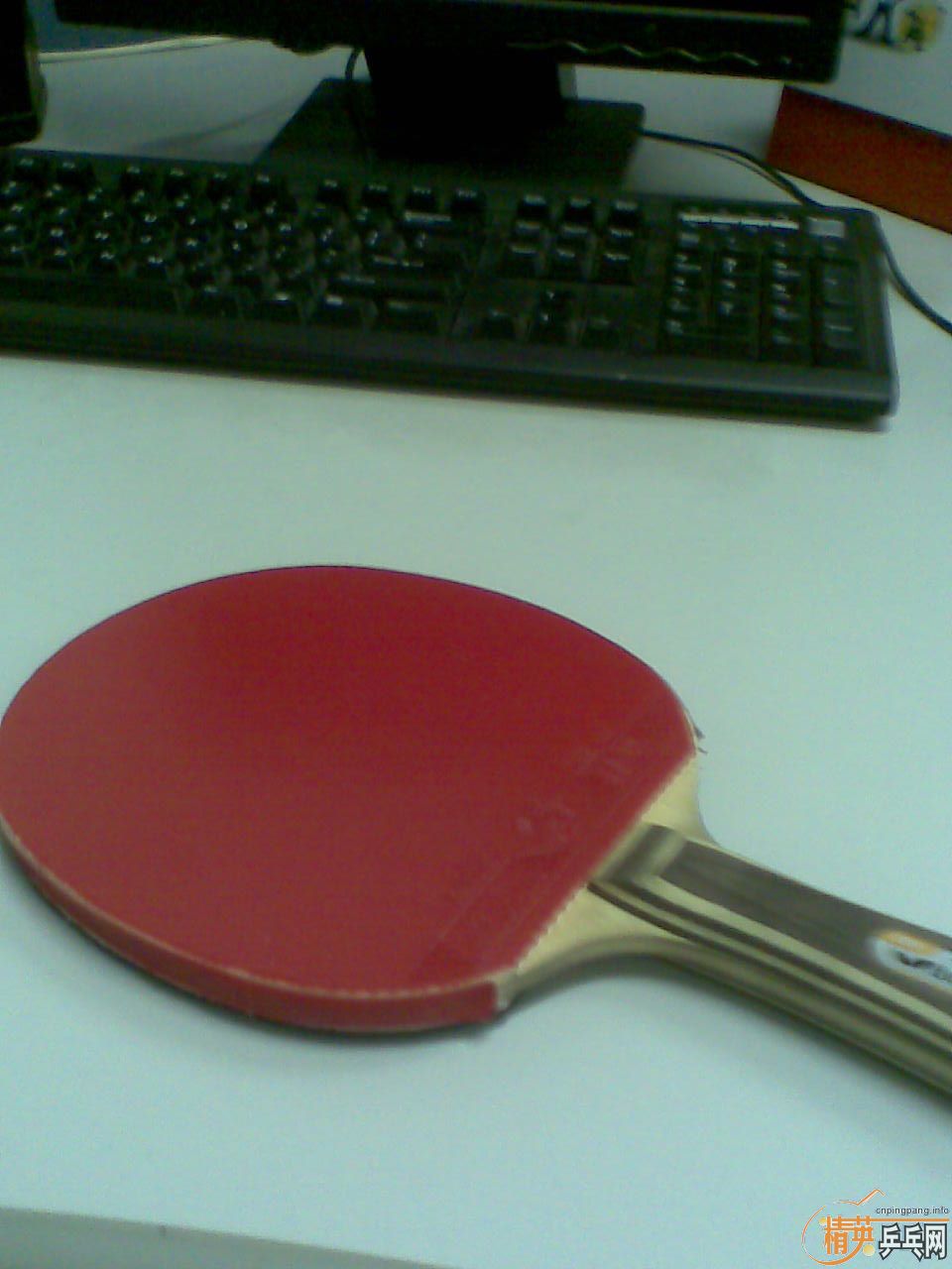 ���Ʊ���30271�ͺ�˫ϲH-WL