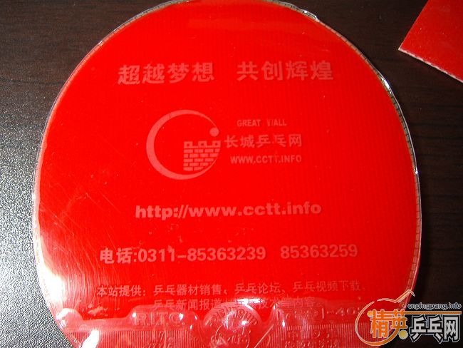 ������� DONIC Baracuda  �� 729-40S �����׽�