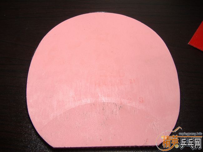 ������� DONIC Baracuda  �� 729-40S �����׽�